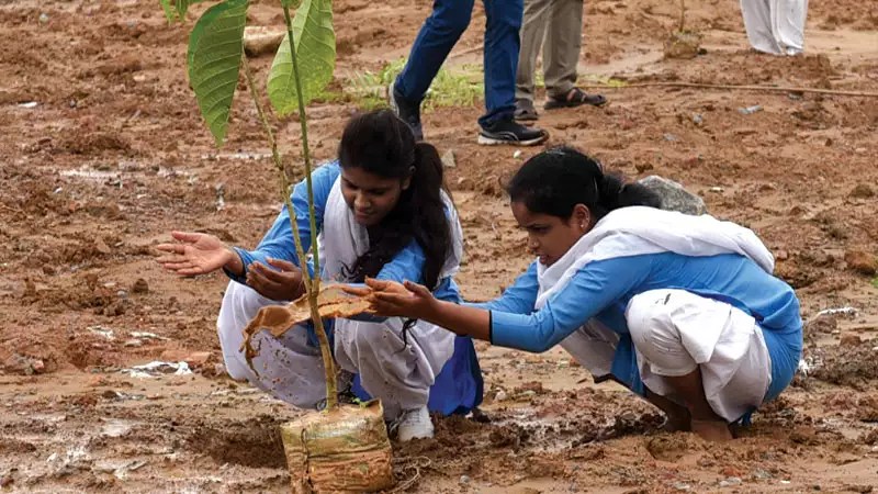 Maintaining Nature's Best at DDA's Biodiversity Sense of nature