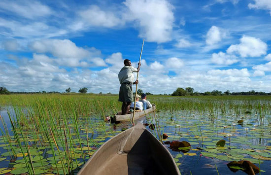 Okavango Delta Botswana - The final word Trip Skills