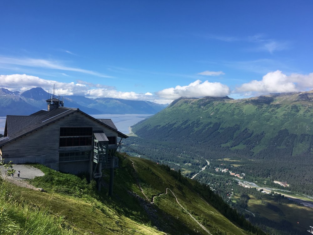 à¸à¸¥à¸à¸²à¸£à¸à¹à¸à¸«à¸²à¸£à¸¹à¸à¸ à¸²à¸à¸ªà¸³à¸«à¸£à¸±à¸ My Beautiful Alaska